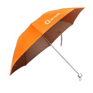 Wholesale Fashionable Umbrella