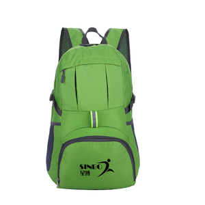 Promotion Custom Logo Printed Outdoor Travel Waterproof Foldable Backpack