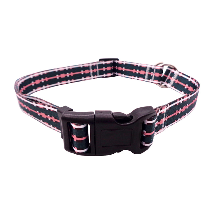 Personalized Custom Luxury Polyester Heat Transfer Dog Collar Leash