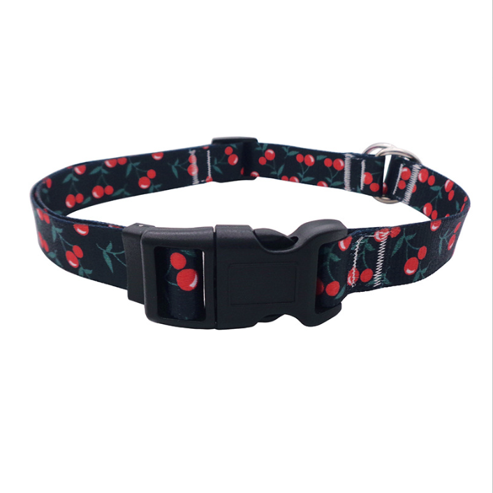 Personalized Custom Luxury Polyester Heat Transfer Dog Collar Leash