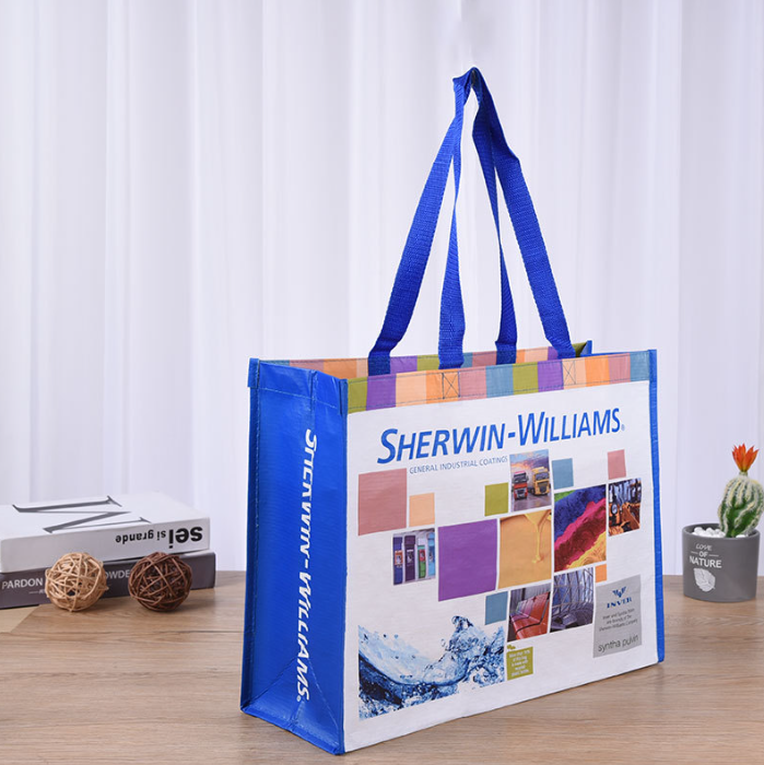 Promotion Custom Logo Eco Friendly RPET Non Woven Bag