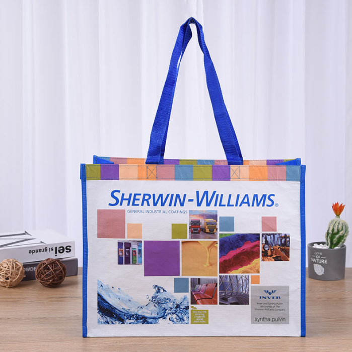 Promotion Custom Logo Eco Friendly RPET Non Woven Bag