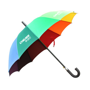 Professional Business Gift Umbrella