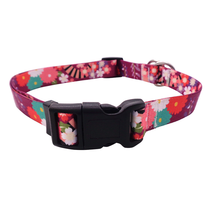 Personalized Custom Luxury Polyester Heat Transfer Dog Collar Leash